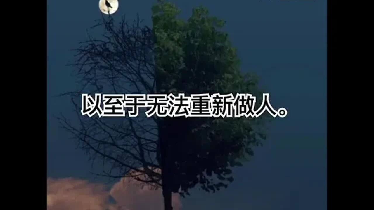 一句话开悟20220612