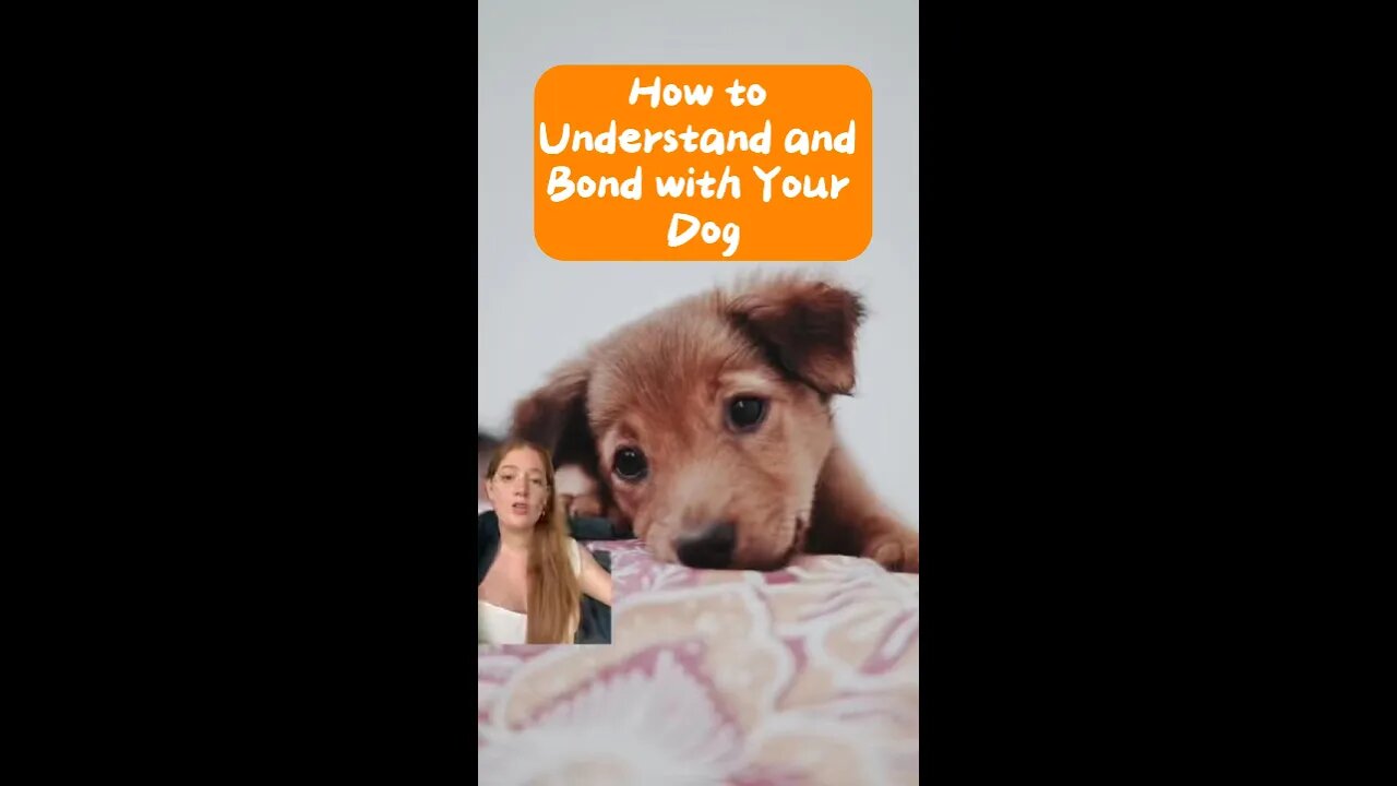 "How to Understand and Bond with Your Dog: Effective Communication Tips"