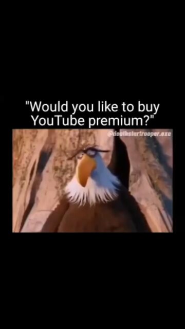 the people at YT getting spammed by ads: