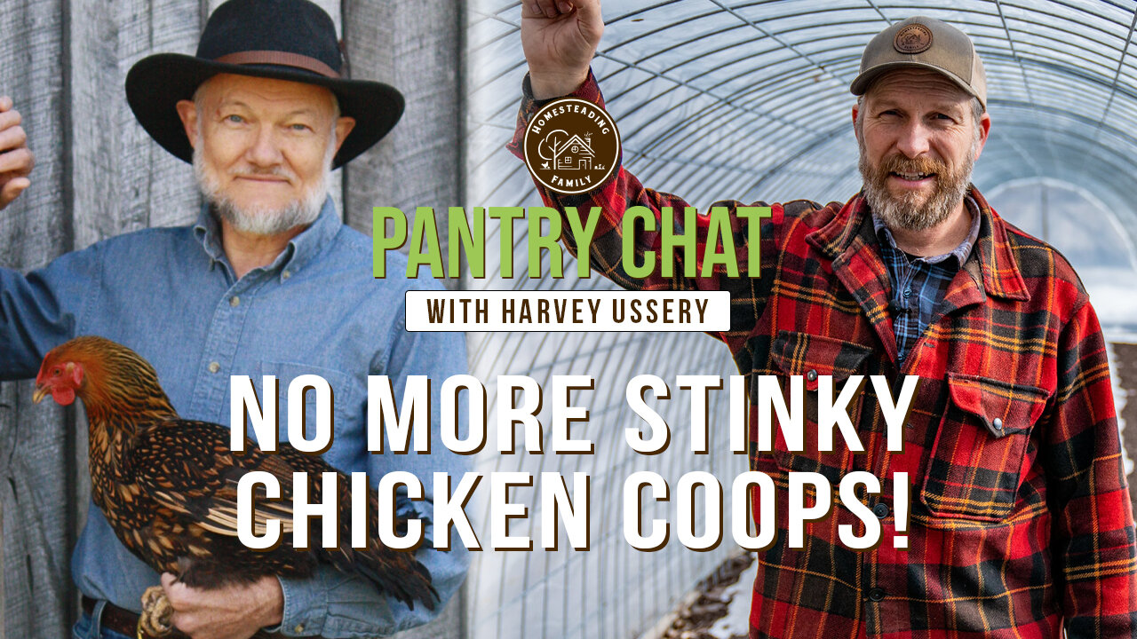 No More Stinky Chicken Coops! Use the DEEP LITTER METHOD instead! | Pantry Chat