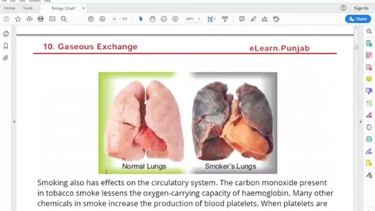 Class 10th Bio Bad Effects of Smoking