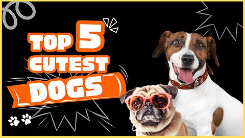 Top 5 CUTEST Dogs on the Planet! 🐶 You Won't Believe #1!