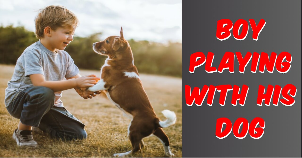 Boy Playing With His Dog