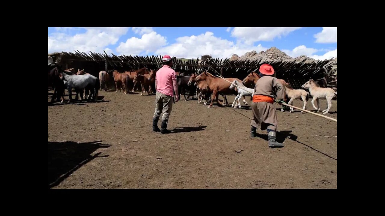 The real Mongolia - Genuine Mongolian Products only