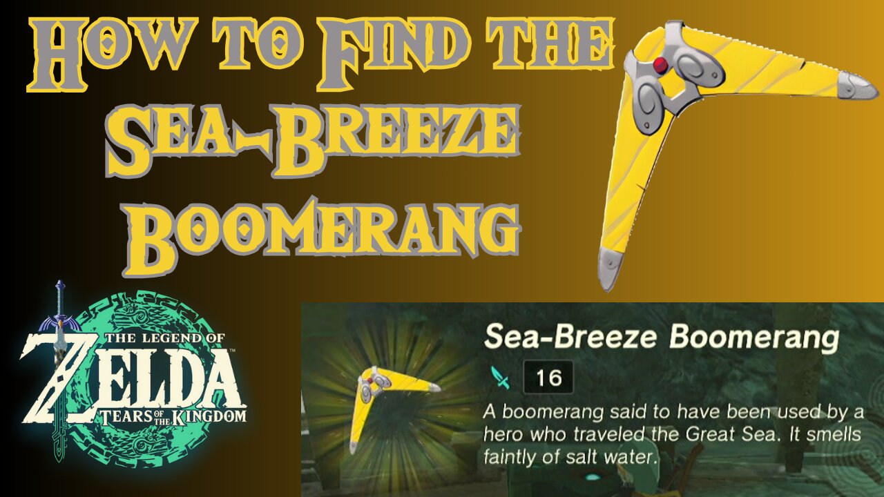 How to Find the Sea-Breeze Boomerang in The Legend of Zelda: Tears of the Kingdom!!! #totk