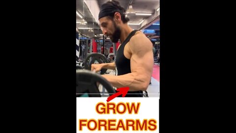 BUILD BIG FOREARM #shorts #youtubeshorts