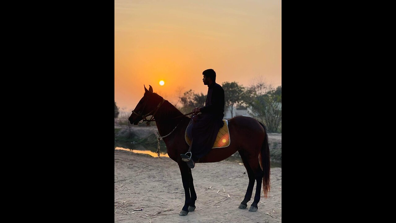 Ghorse na kaml kr diya end🙄