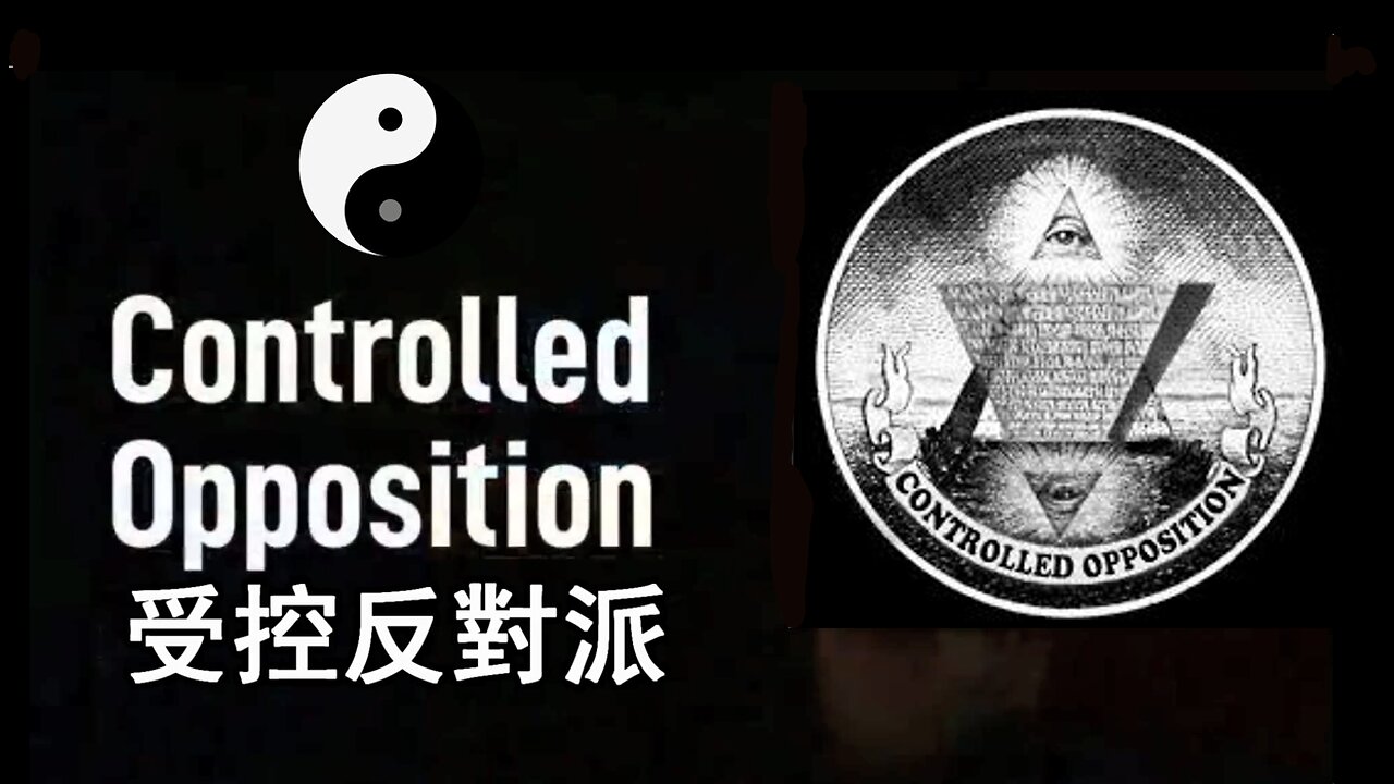 受控反對派 / Controlled Opposition