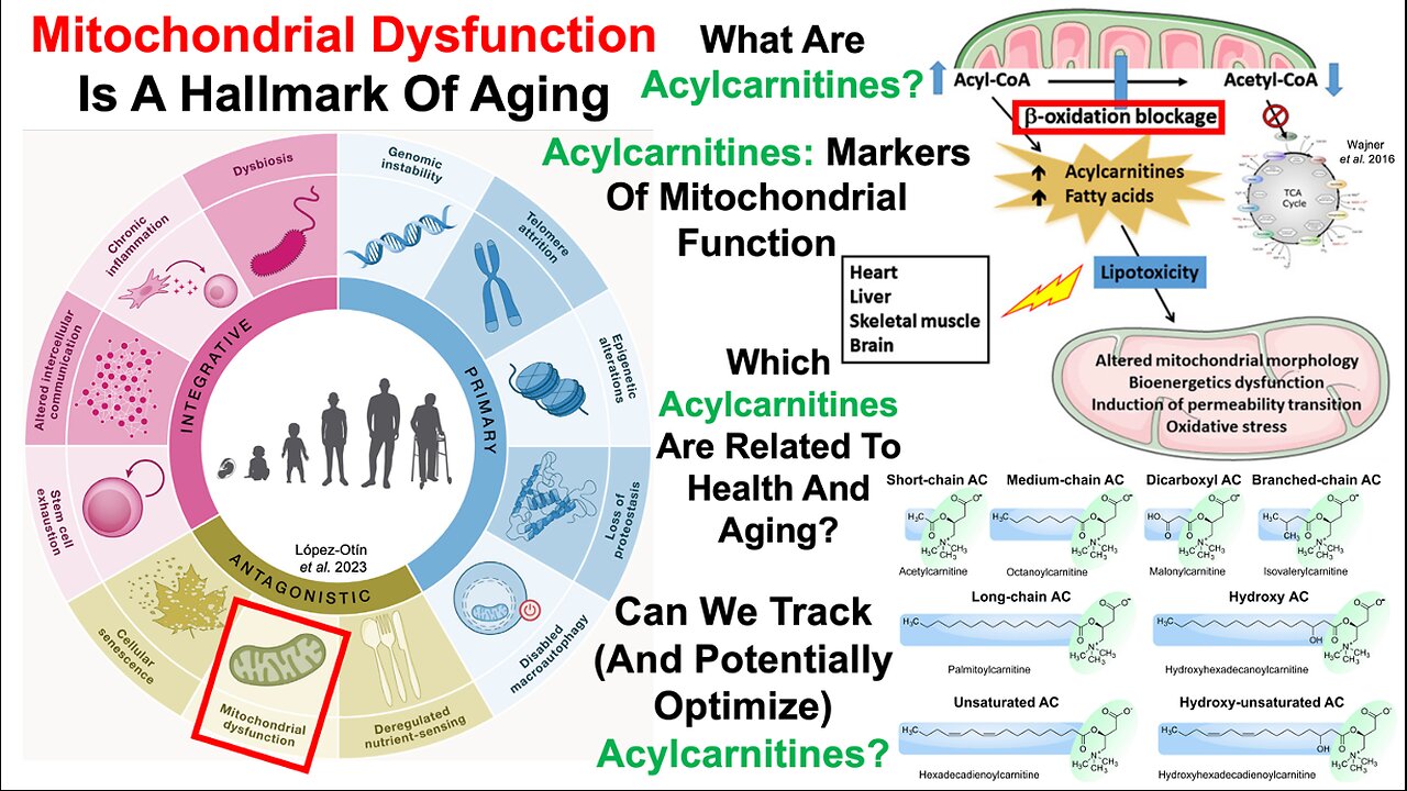 Acylcarnitines Increase During Aging, And Are Associated With Poor Health