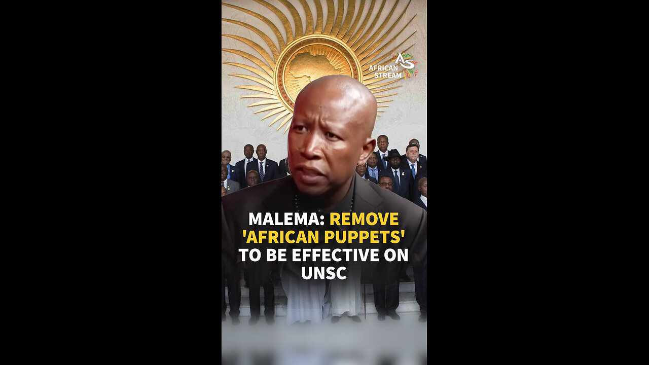 MALEMA: REMOVE 'AFRICAN PUPPETS' TO BE EFFECTIVE ON UNSC