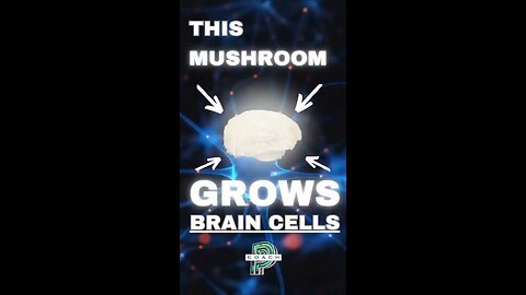 Did you know there's a mushroom out there that can actually help grow brain cells? 🍄🧠