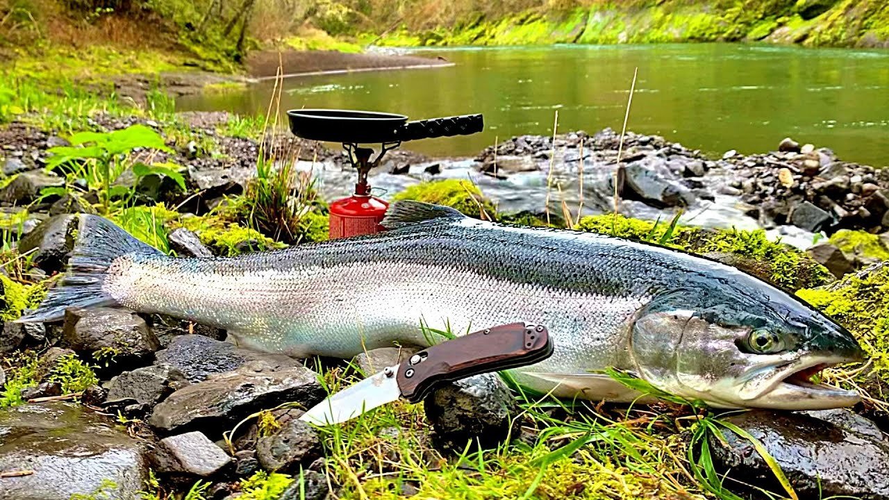 GIANT TROUT FISHING in PRISTINE WATERS (Steelhead Catch & Cook!!!)