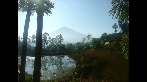 Indonesian village natural sound