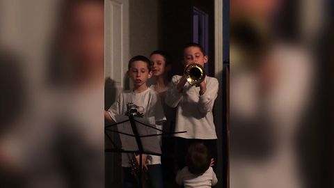 Baby Sister Says No To Trumpets