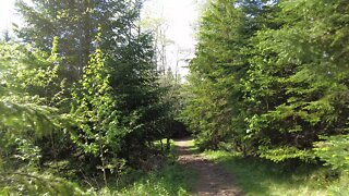 The Best Hiking Trail on PEI @ Bonshaw Hills