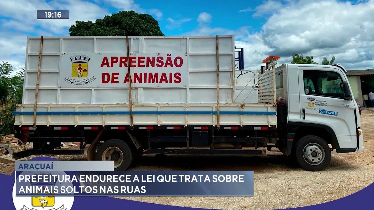 Araçuaí: Prefeitura endurece a lei que trata sobre animais soltos nas ruas