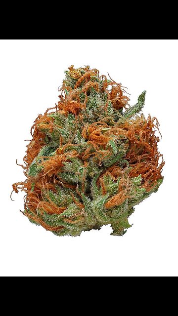 Aerobond Flower 🆚 Girl Scout Cookies Flower