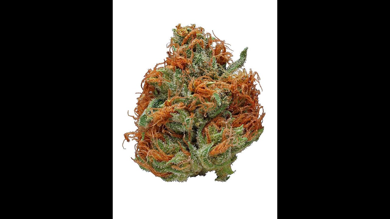 Aerobond Flower 🆚 Girl Scout Cookies Flower
