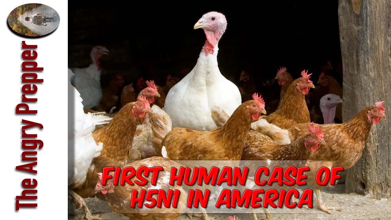 First Human Case Of H5N1 In America