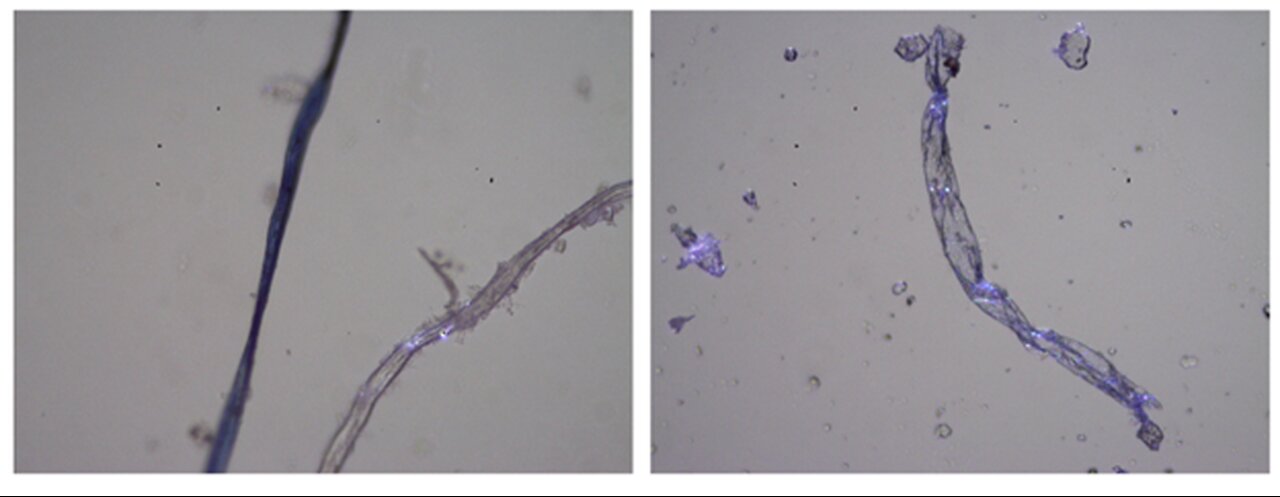 Graphene in Rainwater, Surgical Masks, PCR Swabs and C19 vials