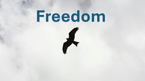 Sermon Only | Freedom | December 8, 2024