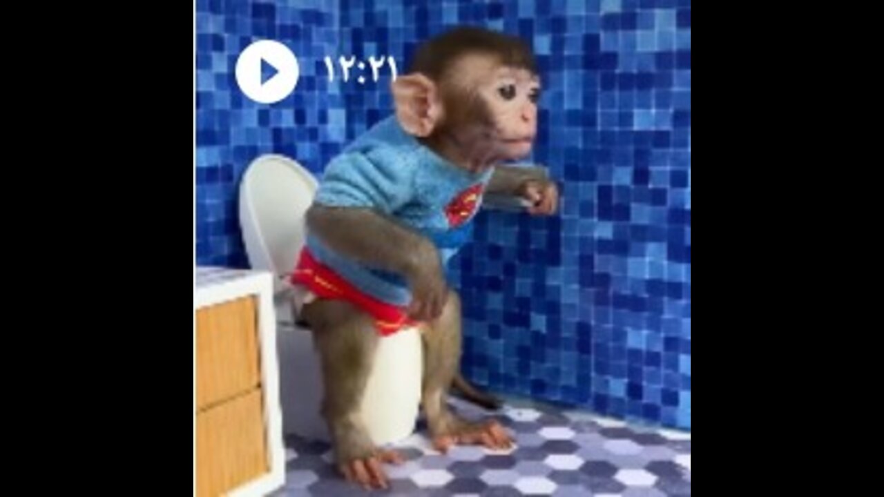 monkey baby in the room cleaning challengeand goes to toilet