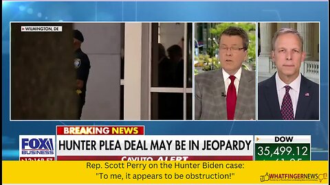 Rep. Scott Perry on the Hunter Biden case: "To me, it appears to be obstruction!"