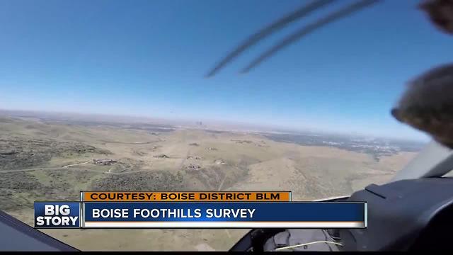 Boise District Bureau of Land Management tours Boise Front in preparation for fire season