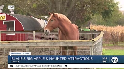 Blake's Big Apple & Haunted Attractions