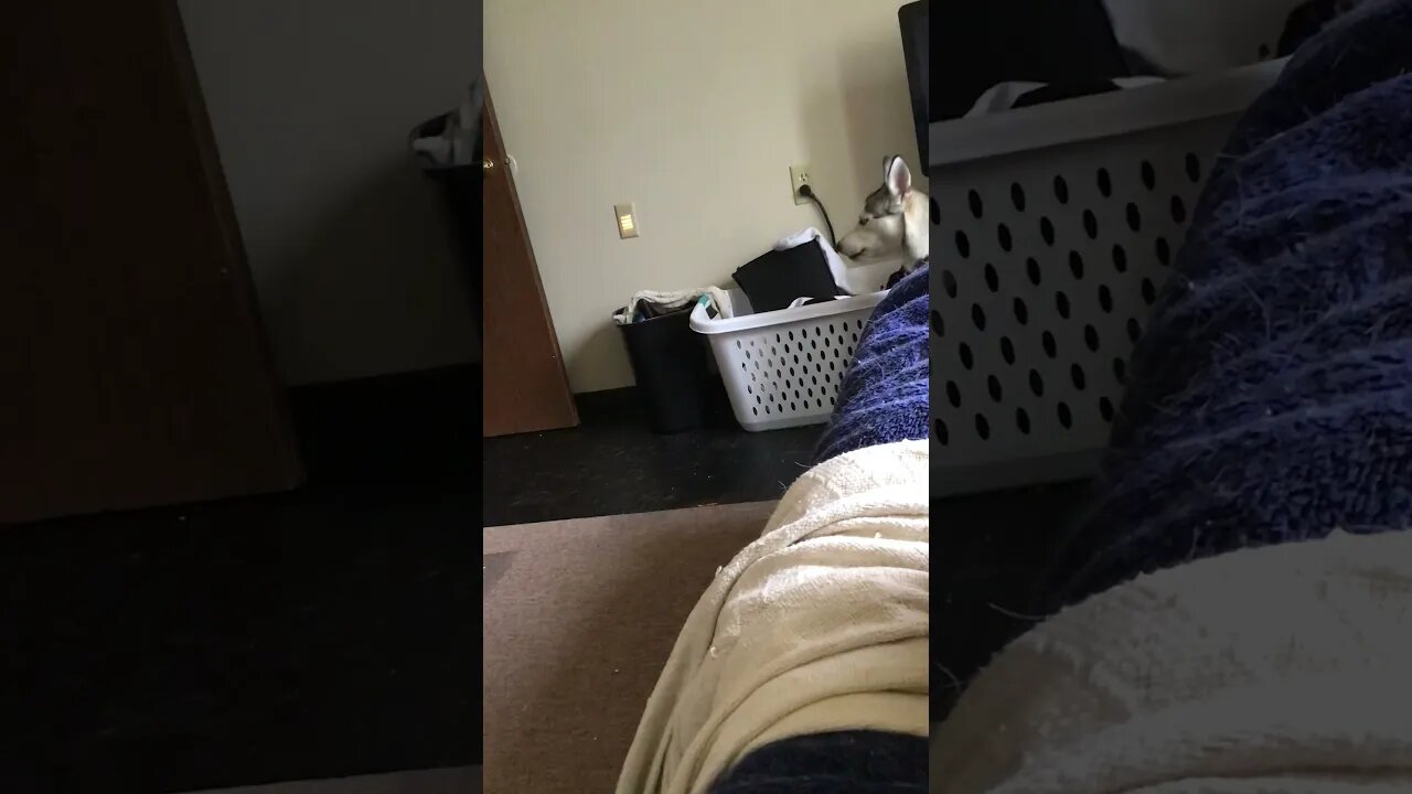 Two Days Post Surgery, Back To Normal (31-July-2021)