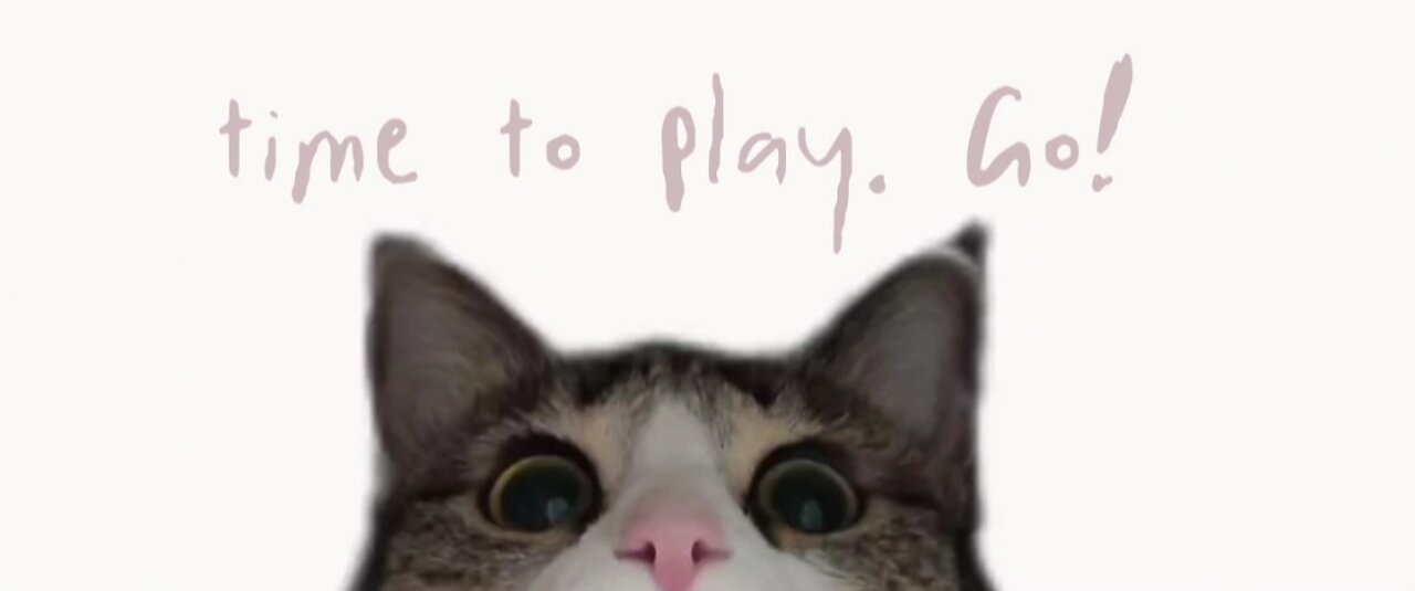 . The hilarious game of my cat, miMMo 🫢