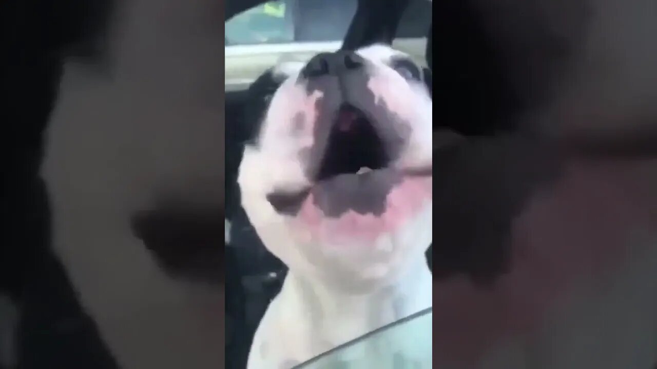 worthy of applause