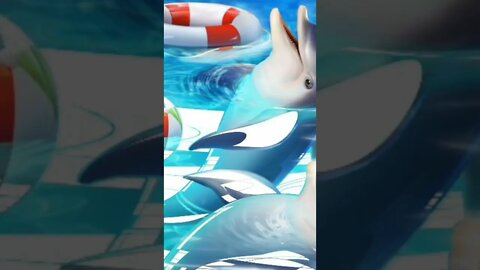 Here are some dolphins