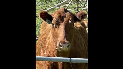 Music And Musings. It’s Episode #247 It’s Sunday, Oct. 3, 2021