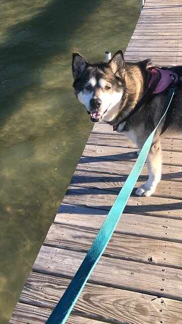 Wednesday Oct 10, Being Born or water and spirit.