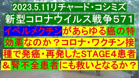 2023.05.11 リチャード・コシミズ新型コロナウイルス戦争５７１