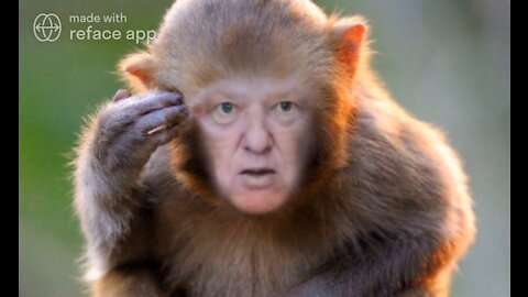 The Ultimate Donald Trump Monkey Meme! 🐒