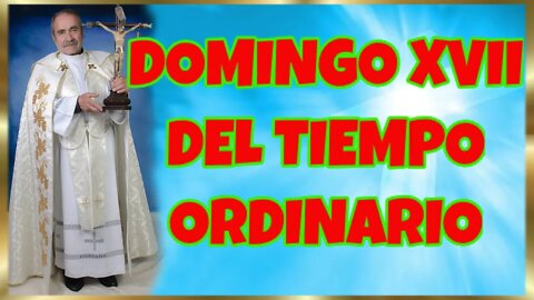 206 DOMINGO XVII DEL TIEMPO ORDINARIO 2022. 4K
