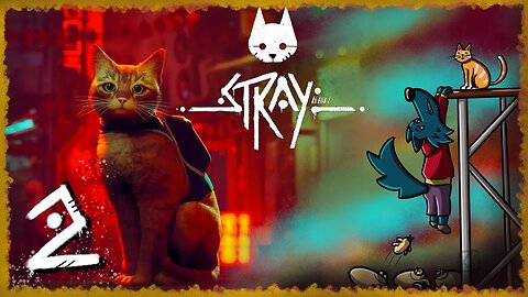 Buckets, Zurks, And Angry Robots - Stray