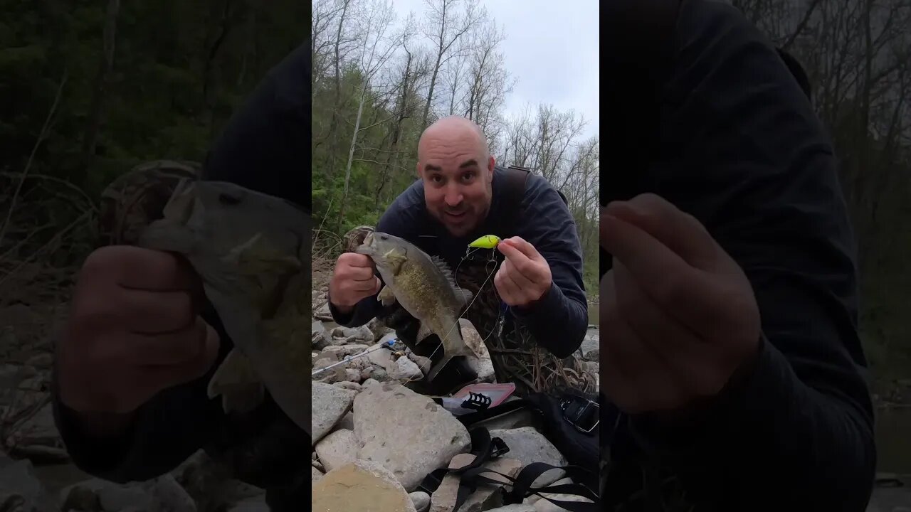 Smallmouth creek fishing in waders (short version)