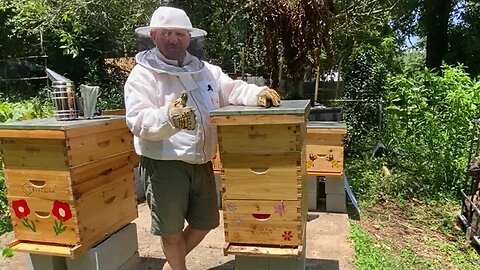 NEW BEE KEEPER INSPECTION HIVE NO 1 JUNE 2022 !