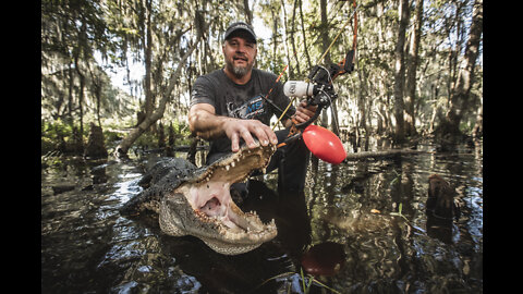 AMS Bowfishing Florida Alligators