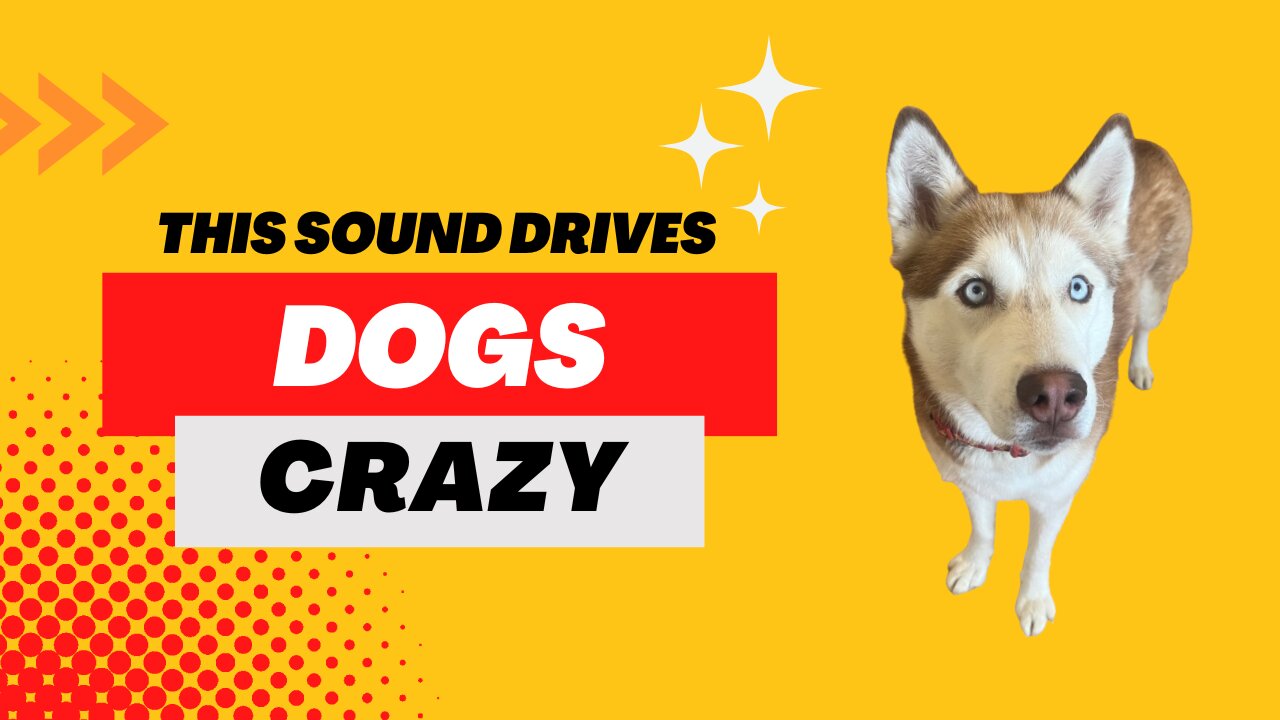 This sound will drive ANY dog crazy