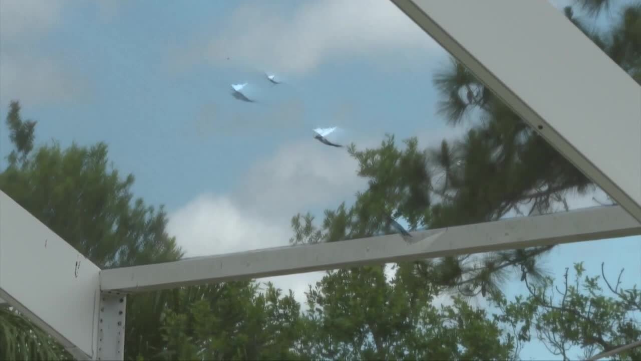 Port St. Lucie police warning residents of solicitations from unlicensed contractors