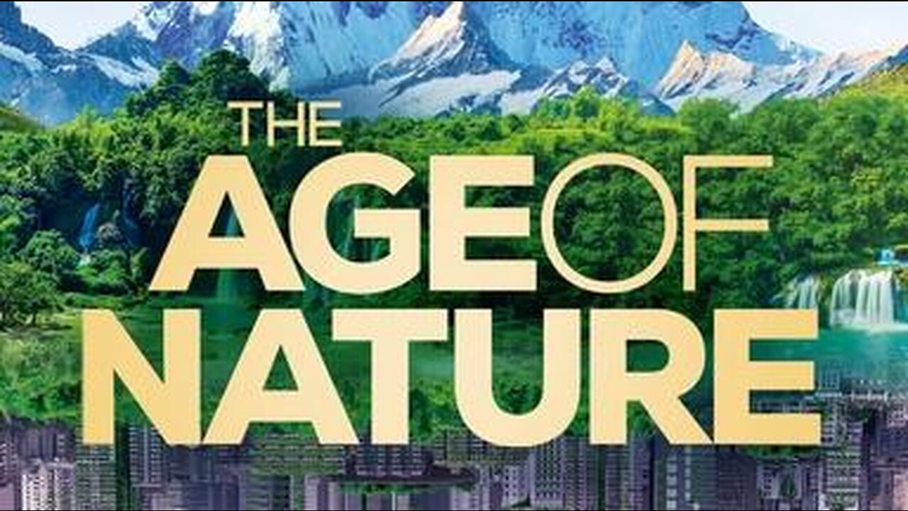 4k Relaxing Nature Sounds Video Clips Of Nature
