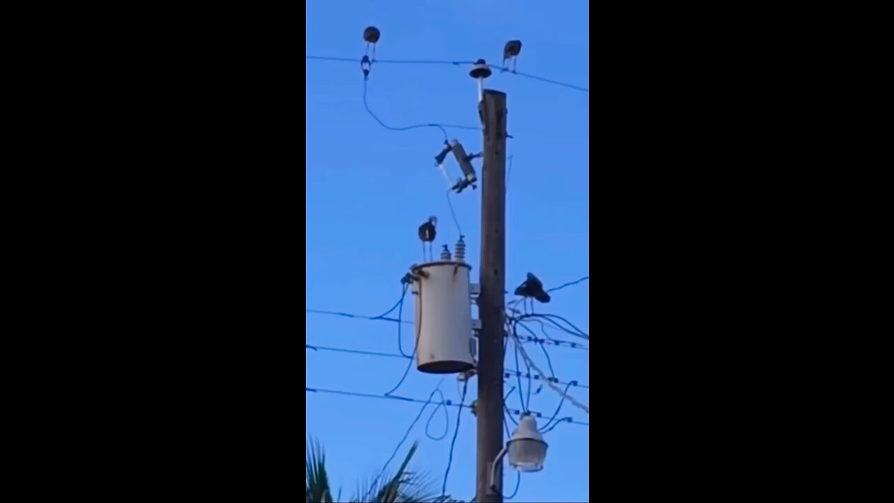 🤣
