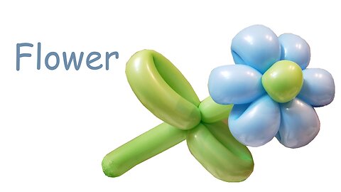 Balloon Flower