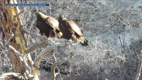 What's the purpose of no parking signs on Monarch Blvd south of Rocky Heights?