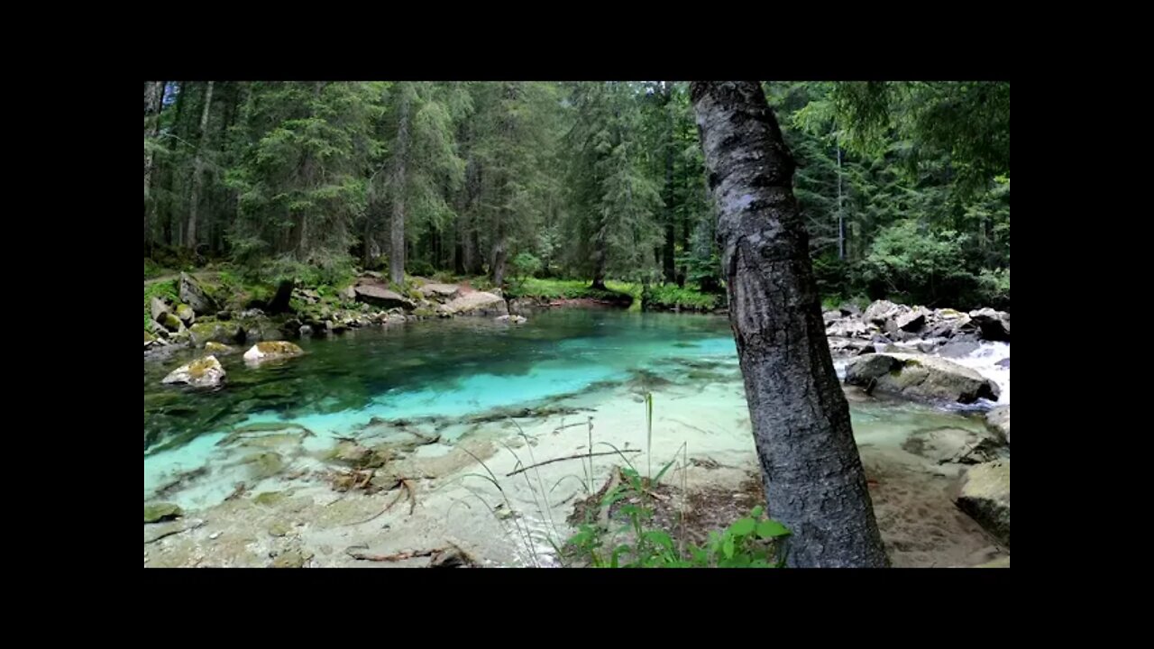 Scenic View of a Clean River in the Middle of the Woods