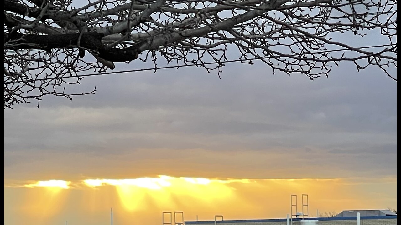 Reveling Revelation Pt 17